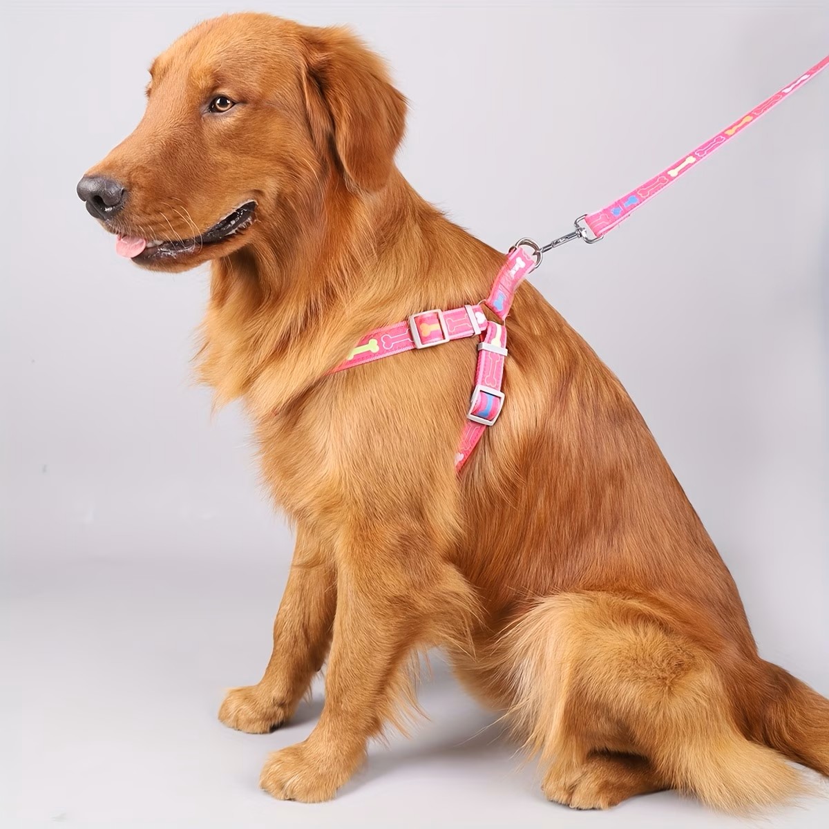 Harnais réglable pour chien av - D Ring Strap avis et prix